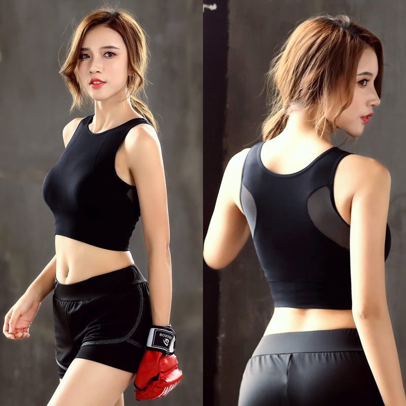 979cf55f64a110ccebd63671be6cc224
